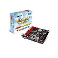 Bo mạch chủ BIOSTAR H61MGV3