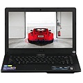Máy tính xách tay Asus P450LDV-WO193D